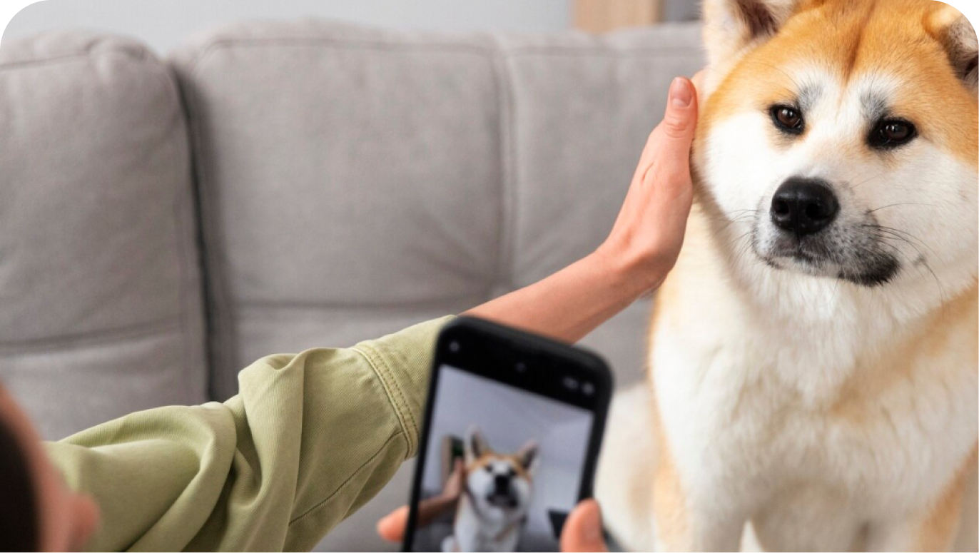 Pet Facial Recognition System